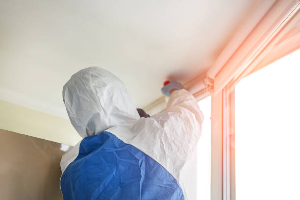 Why You Should Choose Our Mold Remediation Services in Morada, CA