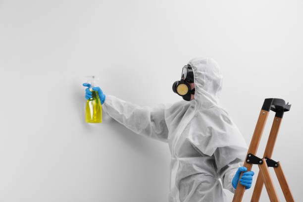 Mold Remediation for Rental Properties in Morada, CA